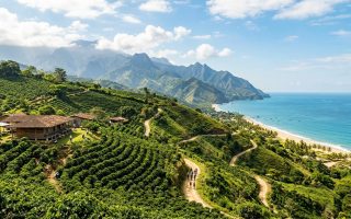 The Ultimate 2-Week Itinerary for Exploring Colombia's Coffee Region and Caribbean Coast