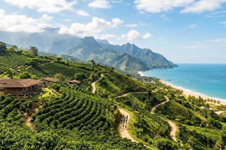 The Ultimate 2-Week Itinerary for Exploring Colombia's Coffee Region and Caribbean Coast
