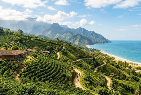 The Ultimate 2-Week Itinerary for Exploring Colombia's Coffee Region and Caribbean Coast
